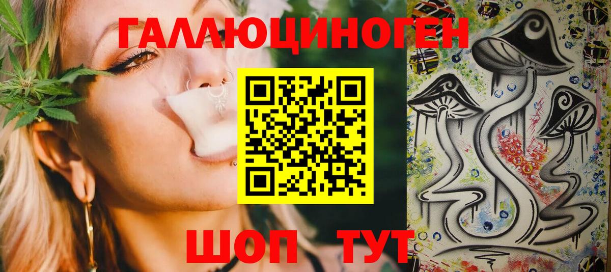 Псилоцибиновые грибы Psilocybe Заинск